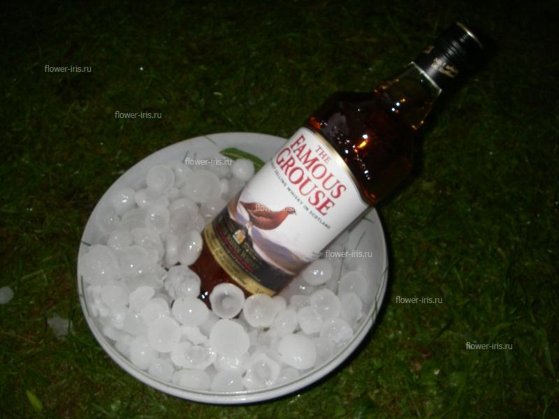 Виски со льдом