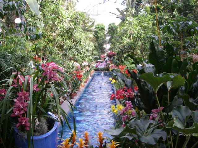 Смитсониевский ботанический сад
