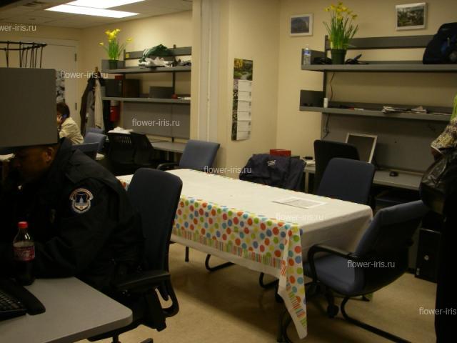 Офис для охраны и волонтеров