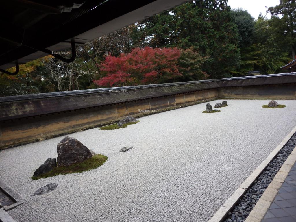 Stone garden in Rionji, Kyoto