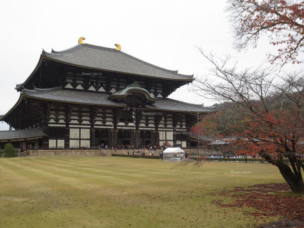 Деревянный Храм (Todai-Ji Temple)