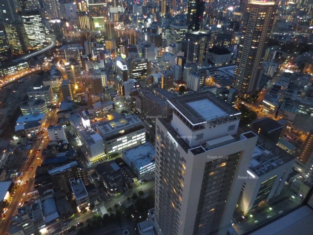 Osaka. View from above